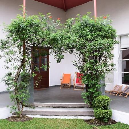 La Casa De Las Magnolias Ξενοδοχείο Coyoacan Εξωτερικό φωτογραφία