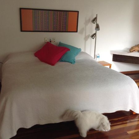 La Casa De Las Magnolias Ξενοδοχείο Coyoacan Εξωτερικό φωτογραφία