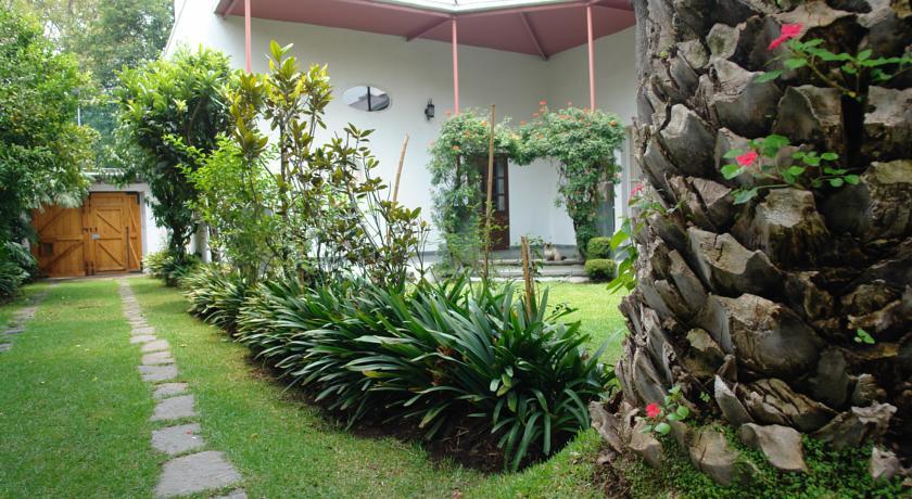 La Casa De Las Magnolias Ξενοδοχείο Coyoacan Εξωτερικό φωτογραφία