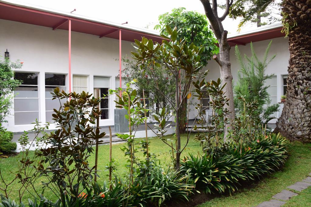 La Casa De Las Magnolias Ξενοδοχείο Coyoacan Εξωτερικό φωτογραφία