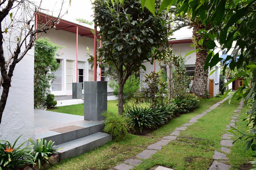 La Casa De Las Magnolias Ξενοδοχείο Coyoacan Εξωτερικό φωτογραφία