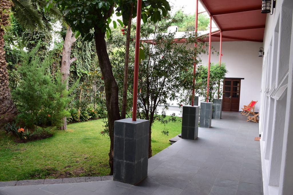 La Casa De Las Magnolias Ξενοδοχείο Coyoacan Εξωτερικό φωτογραφία