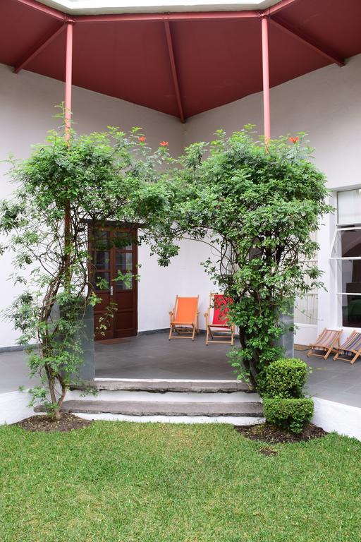 La Casa De Las Magnolias Ξενοδοχείο Coyoacan Εξωτερικό φωτογραφία