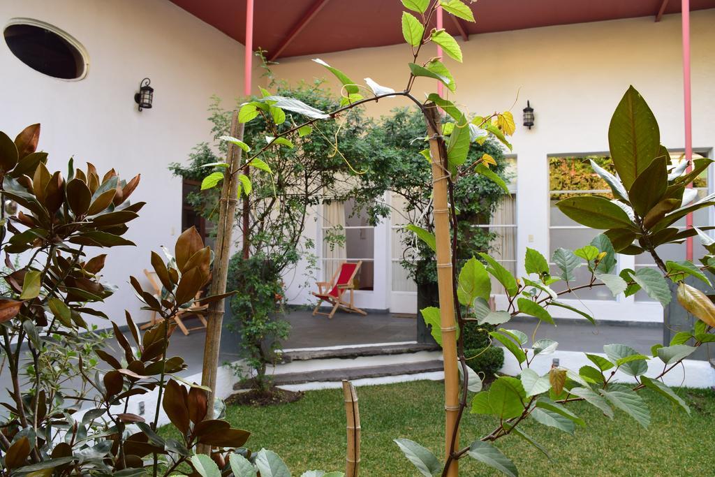 La Casa De Las Magnolias Ξενοδοχείο Coyoacan Εξωτερικό φωτογραφία